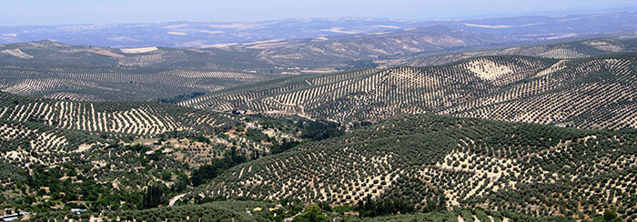 panorama jaen