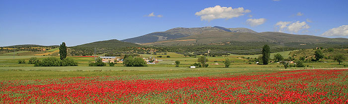 panorama soria